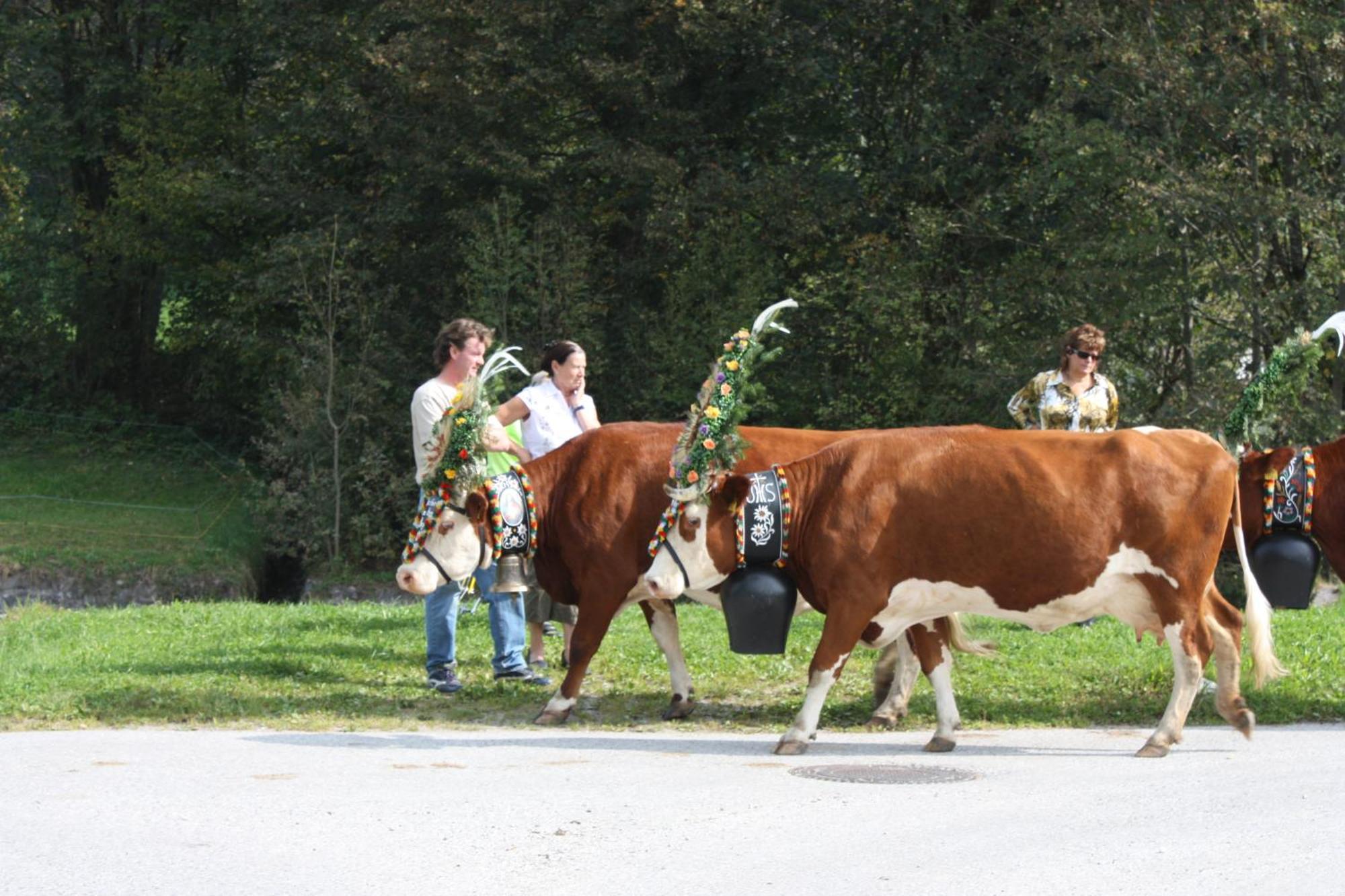 Ferienhof Kampfl Fügen Exterior foto